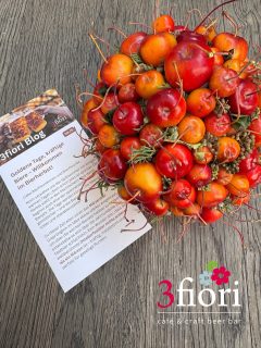 Herstzeit in Brixen
.
.
👉 „Link in Bio für mehr Infos!“
.
.
#3fiori #3fioribeer #herbstinbrixen #herbstbiere #bestofbrixen #biergarten #focacciaburger #focaccine #beerandsnacks #craftbeerbar #südtirolercraftbeer #italianales